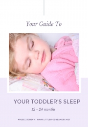 12 - 24 Month Sleep Guide